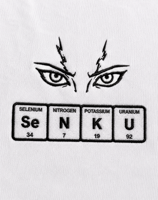 Dr Stone Inspired Embroidered T-Shirt